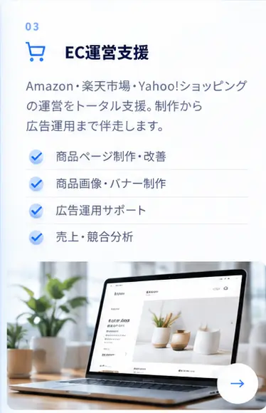 EC運営支援の概要